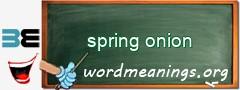 WordMeaning blackboard for spring onion